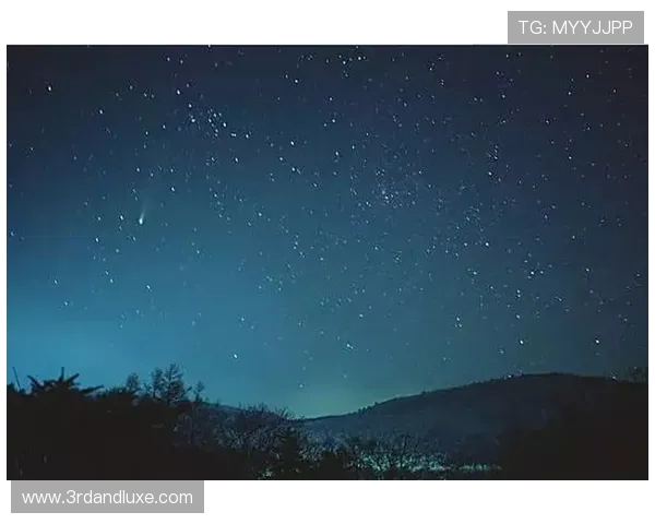 星空娱乐二维码在夜空主题娱乐活动中的实际应用案例