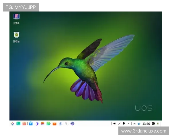 星空体育官方入口登录账号密码重置方法，保障您的账户安全与数据保护